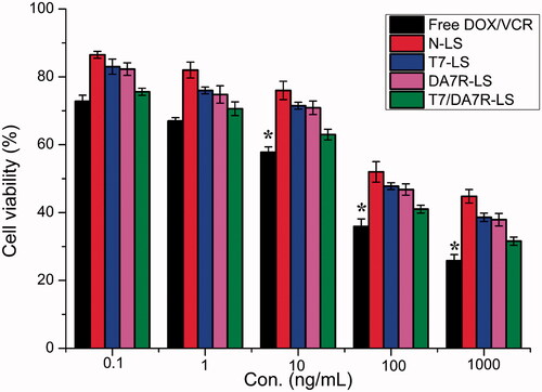 Figure 4. The cytotoxicity of free DOX + free VCR, and various liposomes containing DOX and VCR. The data are presented as the means ± SD (n = 3). *indicates p < .05.