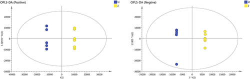 Figure 2 The results of OPLS-DA modeling using the data from the model group (M) and the ZHSE group (Z) in positive and negative electrospray ionization source (ESI) mode.
