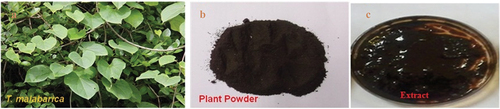 Figure 1. Floral collection and extract preparation.