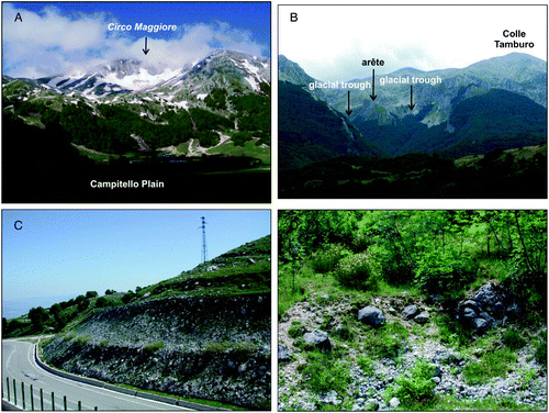 Figure 2. Panoramic views of the major cirque of Mt. Miletto, named Circo Maggiore, (A) and of the arête that separates the two glacial troughs departing from the eastern cirques of Colle Tamburo (B); the moraine deposits outcropping immediately north to the Campitello Plain (C) and near the Stazione Teleferica (D) at ∼1400 and 800 m a.s.l., respectively, made of prevailing sub-angular, centimetric to metric calcareous clasts in abundant sandy-silty matrix.