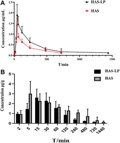 Figure 10 (A) Time profile of the plasma HAS level of mice after they were nasally administered with free HAS and HAS-LP. (B) Time profile of the brain tissue HAS level of mice after they were nasally administered with free HAS and HAS-LP.