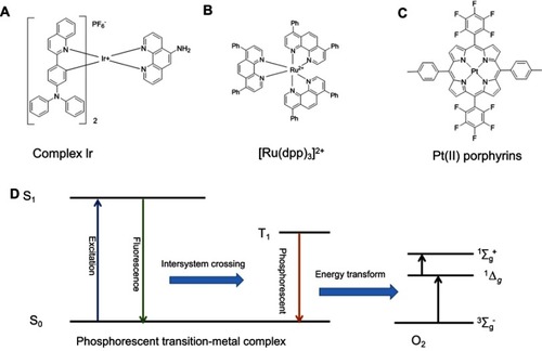 Figure 1 Structure and activation of metal complex. (A) complex Ir, (B) [Ru(dpp)3]2+ (C) Pt(II) porphyrins (D) Oxygen sensing mechanism of conjugated polyelectrolyte and schematic illumination of energy level of the moieties in phosphorescent transition-metal S0, ground state, S1- excited singlet states by fluorescence light, T1- triplet state form by S1 intersystem crossing, 1Δg-1Σg+.