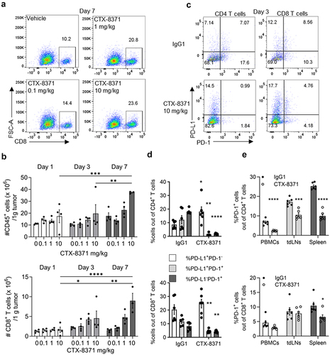 Figure 6. CTX-8371 causes CD8 T cell infiltration in tumors and global loss of PD-1 on T cells. mice received a single dose of CTX-8371. Spleen, tdLns, PBMCs, and tumor cell suspensions were analyzed by FACS. (A) CD8+ T cells percentages out of CD45+ immune cells on day 7. (B) Absolute numbers of CD45+ (upper) and CD8+T cells (lower) per gram of tumor tissue (mean ± SEM, n = 4), ****, p < 0.0001, ***, p < 0.005, **, p < 0.001, *, p < 0.05. Two-way ANOVA and Tukey’s multiple comparisons test. (C) Representative dot plots of PD-1-expressing T cells on day 3 after dosing with CTX-8371 or IgG1. (D) PD-1+ T cell frequencies in all tumors (mean ± SEM, n = 6). *, p < 0.05, **, p < 0.001, ***, p < 0.005, ****, p < 0.0001 unpaired t test. (E) CTX-8371 reduces PD-1 on CD4+ and CD8+ T lymphocytes in the periphery on day 6. (mean ± SEM, n = 6), ****, p < 0.0001, ***, p < 0.005, **, p < 0.001, *, p < 0.05 unpaired t test.