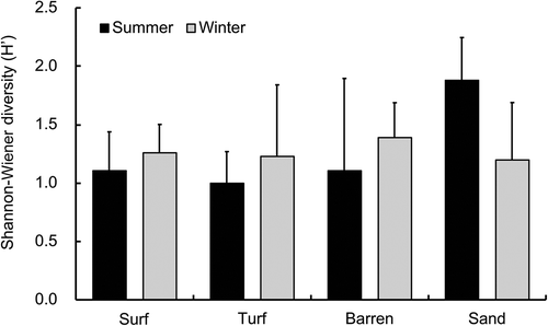 Fig. 8. Variations of the Shannon–Wiener index (Hʹ) among limpets inhabiting surf, turf, barren, and sandy zones in summer and winter