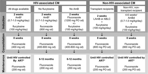 Figure 4 Treatment options for cryptococcal meningitis (CM), summarized from infectious Diseases Society of America and world Health Organization guidelines.