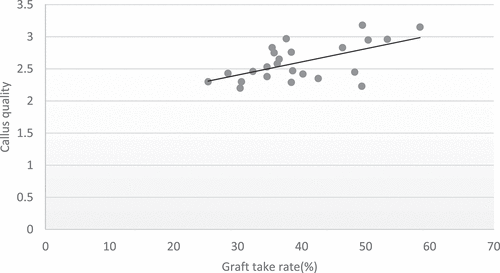 Figure 7. Scattered plot diagram of graft take rate versus callus quality.