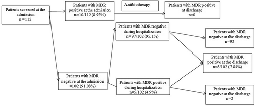 Figure 1. Patients’ distribution according to MDR carriage status on admission, during hospitalization and on discharge.
