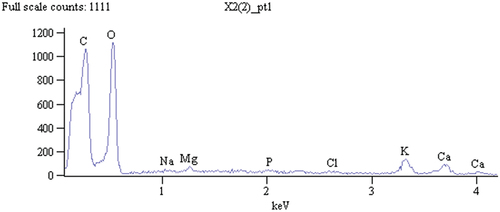 Figure 6. EDX spectrum of DBF fiber.