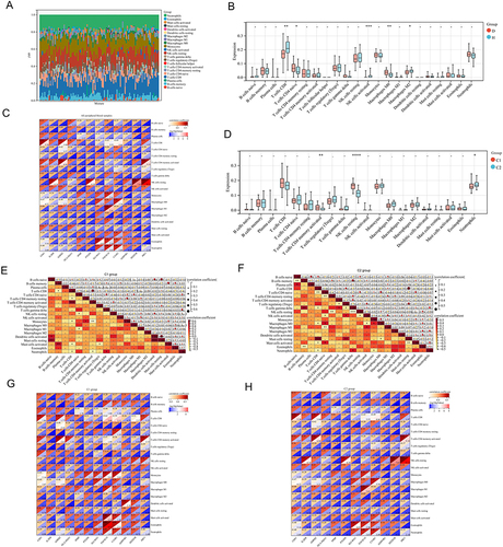 Figure 10 Immune infiltration analysis of different clusters in PB of AS patients: (A) Stacked plot of immune cells in 68 AS patients. (X-axis: sample ID; different colors: immune cells). (B) Infiltration levels of immune cells in PB. (D: disease group, H: control group). (C) Correlation analysis between diagnostic biomarkers and immune cells in PB of AS patients. (X-axis: diagnostic biomarkers; Y-axis: immune cells; upper left of the square: correlation coefficient; lower right of the square: -log10(p value)). (D) Infiltration levels of immune cells in different AS clusters (“*” represents p < 0.05, “**” represents p < 0.01, “***” represents p < 0.001, “****” represents p < 0.0001). (E) Correlation analysis between immune cells in C1. (F) Correlation analysis between immune cells in C2. (G) Correlation analysis between diagnostic biomarkers and immune cells in C1. (H) Correlation analysis between diagnostic biomarkers and immune cells in C2.