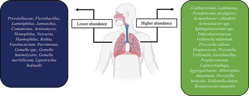 Figure 2. The higher and lower abundance of bacteria in the respiratory tract of COVID-19 patients.