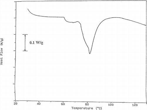 Figure 6. The thermogram obtained for the trout cooked at 40% power for 40 s.