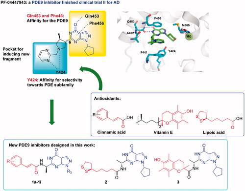 Figure 1. The design of PDE9 inhibitors with antioxidant activities.