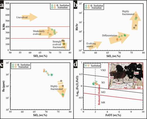 Figure 8. Geochemical diagrams discriminate between the early phases of the Sanfoshan pluton and the highly fractionated, late-phase rocks. For symbol colours, see Figure 7. (a) K/Rb vs. SiO2 classification plot of granitoids (Blevin, Citation2004), (b) Plot of Rb/Sr vs. SiO2, (c) Plot of Ba vs. SiO2, and (d) Redox classification scheme of igneous rocks (Blevin, Citation2004). Representative photomicrograph is included for the samples with FeOT values < 2 wt.%. Abbreviations: VSO = very strongly oxidised; SO = strongly oxidised; MO = moderately oxidised; MR = moderately reduced; Mag = magnetite; Bt = biotite; Ap = apatite; Aln = allanite; Ttn = titanite