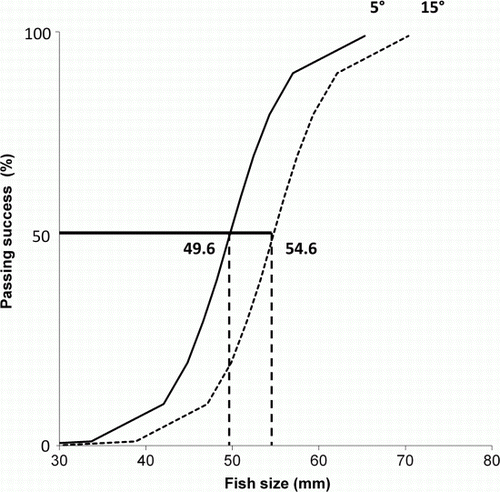 Fig. 3  Predicted passing sizes of juvenile īnanga at 5° (—) and 15° (····) ramp angles with no pool determined by a logistic mixed-effects model.