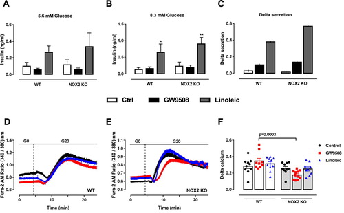 Figure 4. Impact of NADPH oxidase on insulin secretion and calcium dynamics induced by GW9508 and linoleic acid. (A–C) Insulin secretion of islets from C57BL/6J wild type (WT) or NOX2 deficient (NOX2 KO) mice in the absence (Control) or presence of 20 µM GW9508 (GW9508) or 100 μM linoleic acid (Linoleic) for 60 min in 5.6 mM (A) and 8.3 mM (B) of glucose. Results are expressed as mean ± SEM for 3–6 independent experiments. *P<0.05 and **P<0.01 versus Control in corresponding glucose concentration. Two-way ANOVA followed by Tukey. (C) Delta secretion (insulin secretion at 8.3 mM glucose subtracted from insulin secretion in 5.6 mM glucose). (D,E) Dynamic measurements of Ca2+ of islets from C57BL/6J wild type (WT) (D) or NOX2 deficient (NOX2 KO) mice (E). Islets were incubated for 60 min in the absence (Control) or presence of 20 µM GW9508 (GW9508) or 30 μM linoleic acid (Linoleic) and Ca2+ measurements were performed using Fura-2 AM dye under the microscope Axio Observer 7. Islets were first incubated without glucose (G0), followed by addition of 20 mM of glucose (G20). (F) Delta calcium response to glucose. Averaged values on minute 14 were subtracted from averaged values on minute 4. Results are expressed as mean ± SEM for 3 independent experiments. P value versus WT in same condition is shown at the graph. One-way ANOVA followed by Tukey.