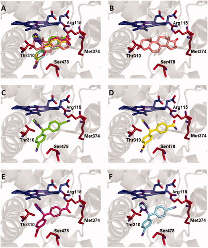 Figure 7. Binding of the compounds in the active site of aromatase. Protein backbone is represented as a ribbon, the haem group in dark-blue, and the key protein residues Arg115, Thr310, Met374, Ser478 in amaranth. (A) Superimposed binding modes of the physiological ligand ASD (salmon), the parent compound LTZ (green), and the degradation products DBA (yellow), DBO (pink) and LNO (cyan). The ligands are also shown separately: (B) ASD, (C) LTZ, (D) DBA, (E) DBO and (F) LNO.