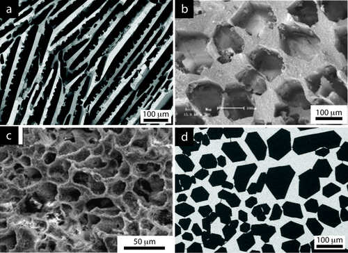 Figure 14. Porous structures representative of what can be achieved with (a) water, (b) TBA, (c) camphene, and (d) water with additives (zirconium acetate). Credits: (b) reprinted from [Citation162], Copyright (2010), with permission from Elsevier, (c) reprinted from [Citation125], Copyright (2010), with permission from Elsevier.