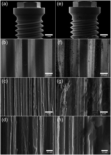 Figure 4. SEM micrographs illustrating the morphology of Brmk System MkIII machined surface. (a) Overview of the top of an Brmk System MkIII machined implant (original magnification 30 X). (b–d) The surface structure differs on sides of the threads, there deeper grooves in the implant surface after the turning instrument can be seen, compared to the edges and between the threads a smoother surface can be seen. Higher magnification of the rougher part on the sides of the threads showing the irregularities of the surface structure, with grooves and some protruding metal fragments (original magnification is (b) 200 X, (c) 10 kX and (d) 50 kX). (e) Overview of the top of an Brmk System MkIII machined implant after insertion into the bone (original magnification 30 X). (f–h) Biological material can be seen on the surface of the implant. No obvious damages to the surface can be seen in higher magnifications after insertion into the bone. Biological material is clearly visible on the surface (original magnification is (f) 200 X, (g) 10 kX and (h) 50 kX).