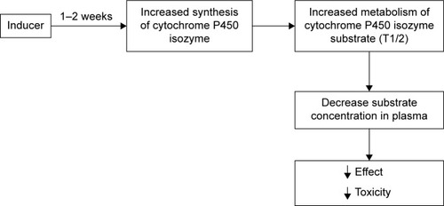 Figure 3 Schematic of drug–drug interaction between the inductor and the substrate of CYP isoenzyme.Note: Data from Ritter et al.Citation72Abbreviation: CYP, cytochrome.
