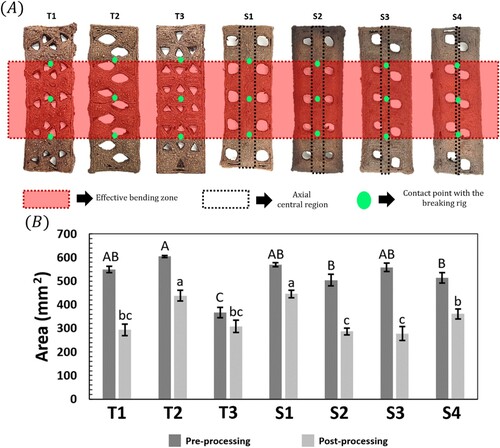 Figure 4. Analysis of the empty area by design, delimited by the support gap in the 3-point bending tests. (A) Representative empty area delimitation, (B) Average empty area before and after processing the samples. Within pre-processing, values with different capital letters are statistically different (p < 0.05), while for post-processing, values with different lowercase letters are statistically different (p < 0.05).