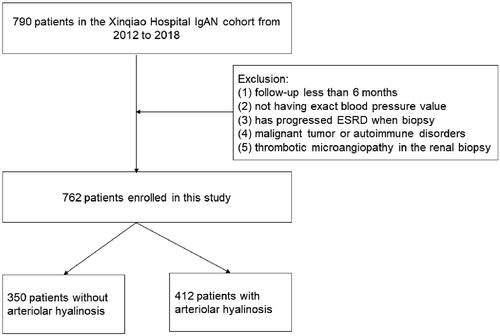 Figure 1. Flowchart showing the procedure for the selection of study participants with or without arteriolar hyalinosis in the patients of IgAN.