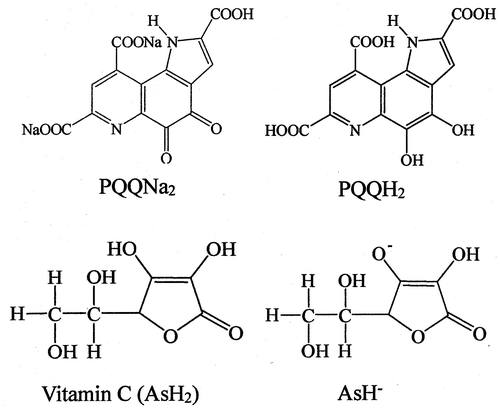 Fig. 1. Molecular structures of PQQNa2, PQQH2, vitamin C (ascorbic acid, AsH2), and ascorbate monoanion (AsH−).