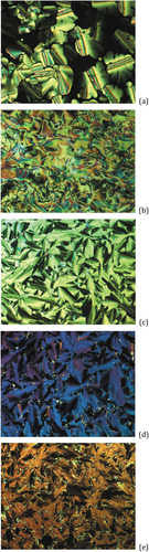 Figure 4. (Colour online) Photomicrographs of complex 3 on cooling from the isotropic liquid, showing (a) Colh (188.3°C); (b) N (156.4°C); (c) Colr2 (142.0°C); (d) Colr1 (90.9°C); (e) monotropic Colr3 (70.9°C). Reproduced with permission from the copyright holder at the University of York.