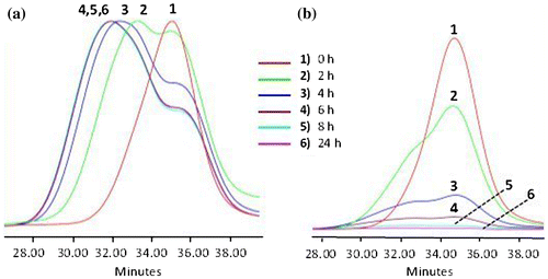 Figure 3. SEC data of APE-PIB-APE-1 recorded by (a) RI and (b) UV absorbance detectors: before irradiation (1), after irradiation at 365 nm for 2 h (2), after irradiation at 365 nm for 4 h (3), after irradiation at 365 nm for 6 h (4), after irradiation at 365 nm for 8 h (5), after irradiation at 365 nm for 24 h (6).