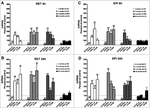 Figure 2. Effect of CIT on the expression of genes coding for transcription factors and regulators involved in mitochondria metabolism. RET (panels A and B) or EPI (panels C and D) WAT explants from 2-month-old CD (white histogram), 4-month-old CD (light gray histogram), 4-month-old HFD (dark gray histogram) and 25-month-old CD (black histogram) rats were incubated with or without CIT for 8h (panels A and C) or 24h (panels B and D), as described in materials and methods. Peroxisome proliferator-activated receptor gamma2 (PPARγ2), peroxisome proliferator-activated receptor α (PPARα), peroxisome proliferator-activated receptor gamma coactivator 1α (PGC-1 α) and mitochondrial transcription factor A (TFAM) mRNA levels were evaluated by RT-qPCR. Histograms represent the ratio of the values obtained from CIT-treated explants from 2-month-old CD rats, 4-month-old CD rats, 4-month-old HFD rats or 25-month-old rats to the values obtained in untreated explants from rats of the corresponding age, taken as controls. Results represent the mean ± SEM of independent experiments (n = 7) carried out in triplicate from different explants, are normalized to RPL13 mRNA and expressed in % of control.*P < 0.05 vs. Control; ** P < 0.01 vs. Control