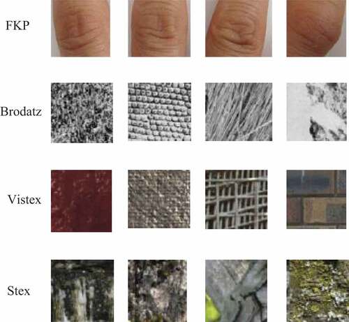 Figure 5. Image samples of different image datasets in our experiments