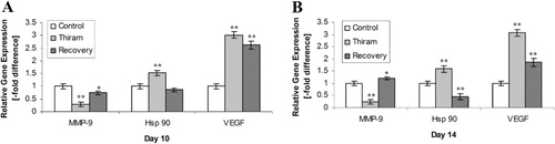 Figure 4. Real-time quantitative PCR analysis of MMP-9, Hsp90 and VEGF on (4a) day 10 and (4b) day 14; **P < 0.01, *P < 0.05. Expression levels were normalized to the levels of the geometric mean of GAPDH gene expression. Values are mean ± standard errors of the mean (n = 4 for each group). Results are shown relative to mRNA expression levels from the control group (normal growth plates) set to one, thus corresponding to the n-fold difference in relation to the control group.