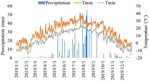 Figure 2. Daily meteorological data for the study area during 2019.