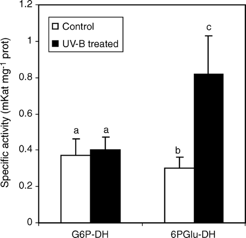 Figure 4.  Glucose-6-dehydrogenase (G6P-DH) and 6-phosphogluconate dehydrogenase (6-PGlu-DH) specific activity in leaf extracts from C. sativus control plants and irradiated with UV-B light. Values are expressed in mKat mg−1 prot±SD. Different letters indicate highly significant differences (p<0.05).