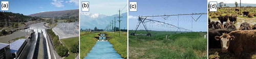Figure 2. Human impacts on hydrology; examples from New Zealand: (a) water spilling over the Roxburgh Dam on the Clutha River; (b) irrigation channel near Methven, Canterbury; (c) centre-pivot irrigator on dairy pasture, Canterbury; and (d) cattle on wetland area, Wairarapa. Credit: NIWA Image Library, photographers Dave Allen, James Sukias.