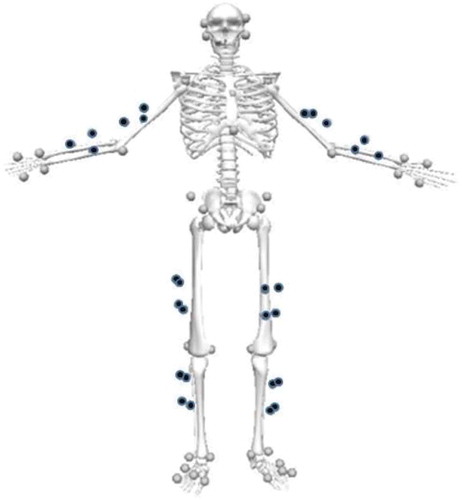 Figure 1. Static trial showing the location of the 78 passive reflective markers. The marker locations were: left and right fore- and rear-head, acromion bilaterally, clavicle, sternum, C7, L1, medial and lateral elbow, medial and lateral wrist, 2nd and 5th metacarpal heads of both hands, anterior superior iliac spine, iliac crest, posterior superior iliac spine, medial and lateral knee, medial and lateral ankle, calcaneus, lateral midfoot, 1st and 5th metatarsal heads, head of the first toe. Eight technical clusters were strapped to the mid-humeri, mid-radius, mid femur and mid-shank (shown in black).