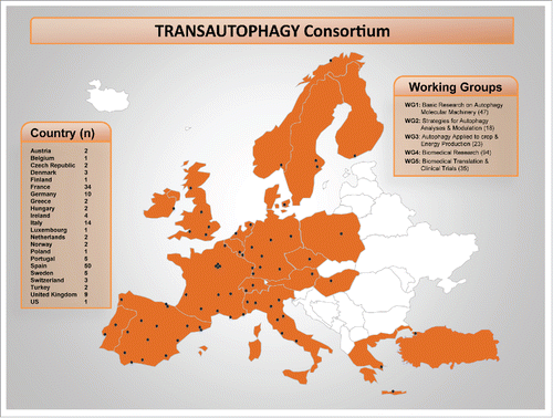 Figure 1. Distribution of European cities where TRANSAUTOPHAGY groups are active and distributed into working groups (WG). Inserts show the number (n) of groups operating in each country and the number of researchers participating in each WG.
