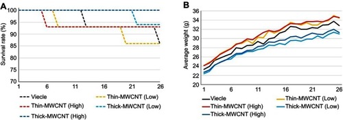 Figure 2 The survival rate and mean body weight of rasH2 mouse models. (A) Survival rate. Two animals in the vehicle group, two in the thin-MWCNTs (low-dose) group, one in the thin-MWCNTs (high-dose) group, and one in the thick-MWCNTs (low-dose) were euthanized within 26 weeks due to debilitation. The other 71 mice survived up to week 26. (B) Average weight. The vehicle group, thin-MWCNTs (low-dose) group, thin-MWCNTs (high- dose) group, thick-MWCNTs (low-dose) group, and thick-MWCNTs (high-dose) group showed similar changes in weight.Abbreviation: MWCNTs, multiwalled carbon nanotubes.