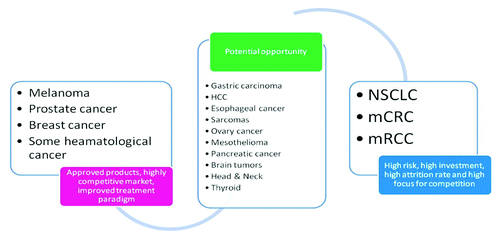 Figure 2. The attractiveness of new opportunities for cancer vaccine development is driven not only but level of competition, but is also determined by probability of development success, development costs, past attrition rate and level of other residual commercial and non-commercial risks.