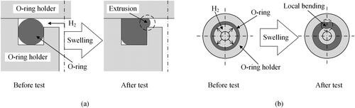 Figure 8. Influence of O-ring filling ratios on possible fracture behavior of rubber O-ring; (a) extrusion-fracture at high filling ratio, (b) buckling-fracture at low filling ratio.[Citation84]