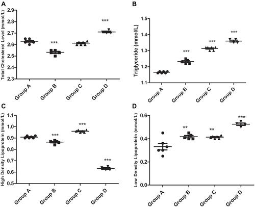 Figure 5 Lipid profile (A total cholesterol, B triglyceride, C high density lipoprotein, D low density lipoprotein).