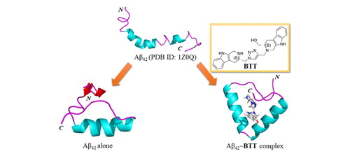 The molecular mechanism of inhibition of Aβ42 self-assembly by a bi-functional bis-tryptoline triazole (BTT) compound has been investigated using molecular dynamics (MD) simulations. MD simulations reveal that reduced Aβ42 aggregation in presence of BTT is linked to a significant increase in the overall helix content from 46% to 57%, which, in turn, highlight conservation of non-aggregation prone native structure of Aβ42.