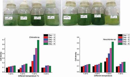 Plate 6. (a & b): Effect of Temperature on the growth of algal isolates