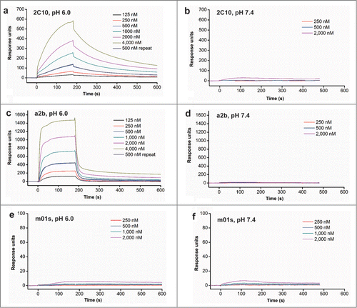 Figure 4. FcRn binding of 2C10, a2b and m01s measured by BIAcore.