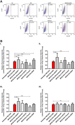 Figure 5 Labeled NPCE EVs Uptake by TM Cells Following Exposure to Different Glaucoma eye drops and their Main Preservative.