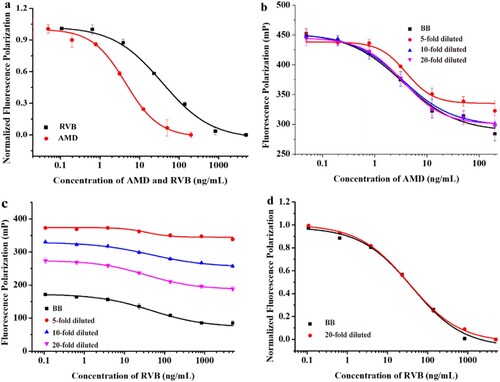 Figure 5. Standard curves of AMD and RVB by MWFPIA. (a) Normalised FP standard curves for AMD and RVB in multiple format FPIA. (b) Standard curves of AMD in borate buffer and serum with different dilution. (c) Standard curves of RVB in borate buffer and serum with different dilution. (d) Normalised standard curve of RVB in borate buffer and 20-fold diluted serum.