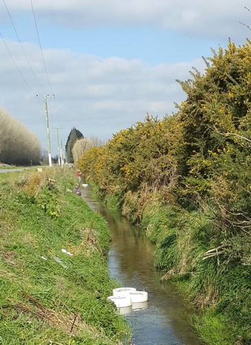 Figure 1. Photograph of the agricultural drain during experiment 2 on 12 August 2015, looking South, the direction the water was flowing.