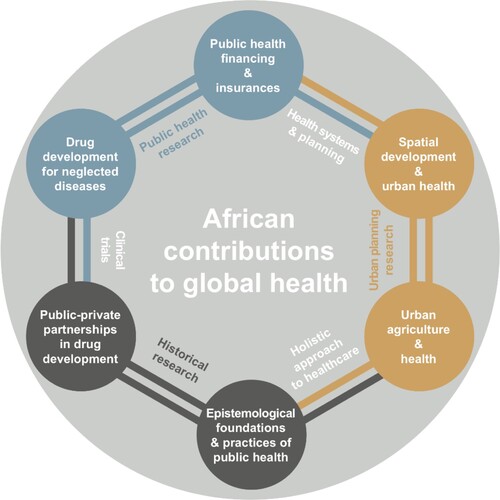 Figure 2. Interdisciplinary connections in the ‘African contributions to global health: Circulating knowledge and innovations’ project.