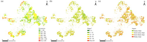 Figure 12. Topographic factor classification map of bamboo forest classification results. (a) Elevation, (b) slope, (c) aspect.