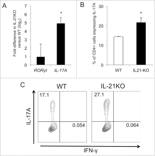 Figure 4. Deficiency of IL-21 results in an increase in theTh17 phenotype. (A) Comparative expression of RORγt and IL-17A in mesenteric lymph nodes from IL-21KO as compared with that from wild-type (WT) mice as determined by qRT-PCR (n = 5 per group) *p < 0.05. (B) Percent of naïve splenic CD4+ cells expressing IL-17A after polarization toward the Th17 phenotype as determined by flow cytometry with intracellular staining. (C) Representative density plots of IL-17A- and IFNγ-expressing cells after polarization are shown. Gating was performed on live, single cells.