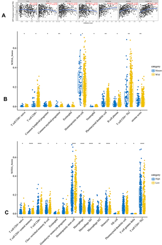 Figure 6 (A) The relationship of SPP1 expression level and tumor immune infiltration level. (B) The immune scores distribution of EGFR-mutant and wild-type in LUAD. Blue color represents EGFR-mutant group, yellow represents EGFR-wild group. (C) The immune scores distribution of SPP1 high and low expression in LUAD. Blue color represents SPP1 high group, yellow represents SPP1 low group. P value significant codes: *P < 0.05, **P < 0.01, ****P < 0.0001.